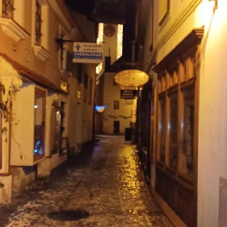 Apartmán pod hradem Znojmo Exterior foto